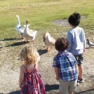 Meet your Posher, Cary